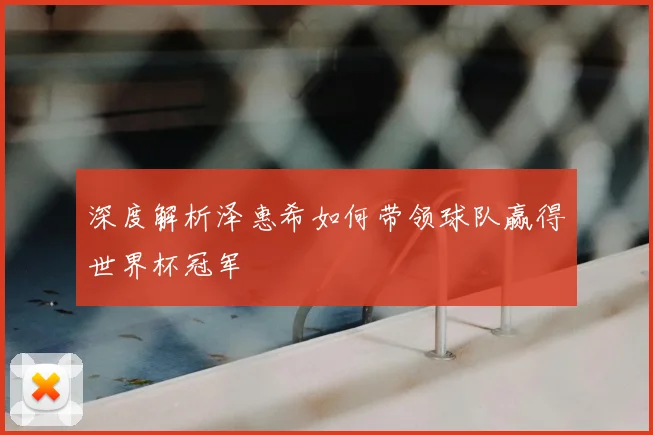 深度解析泽惠希如何带领球队赢得世界杯冠军