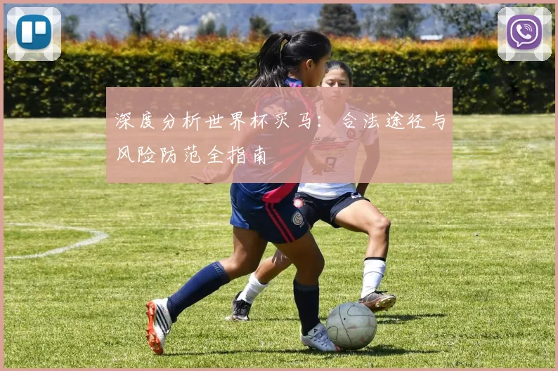 深度分析世界杯买马：合法途径与风险防范全指南