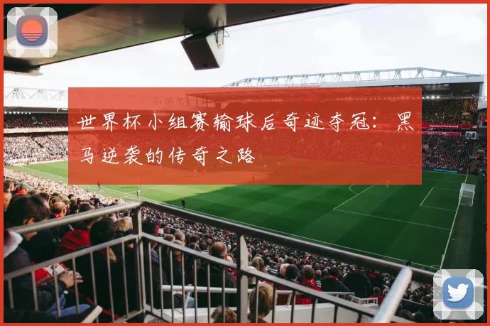 世界杯小组赛输球后奇迹夺冠:黑马逆袭的传奇之路
