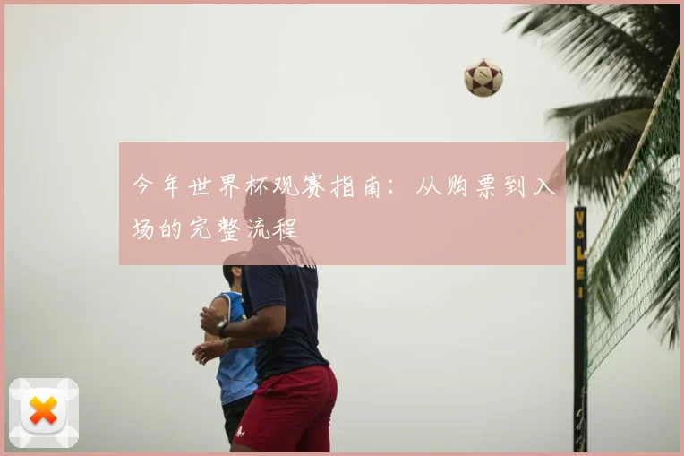 今年世界杯观赛指南：从购票到入场的完整流程