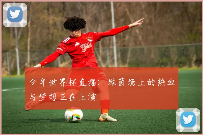 今年世界杯直播：绿茵场上的热血与梦想正在上演