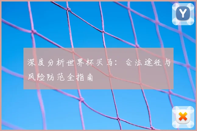 深度分析世界杯买马：合法途径与风险防范全指南